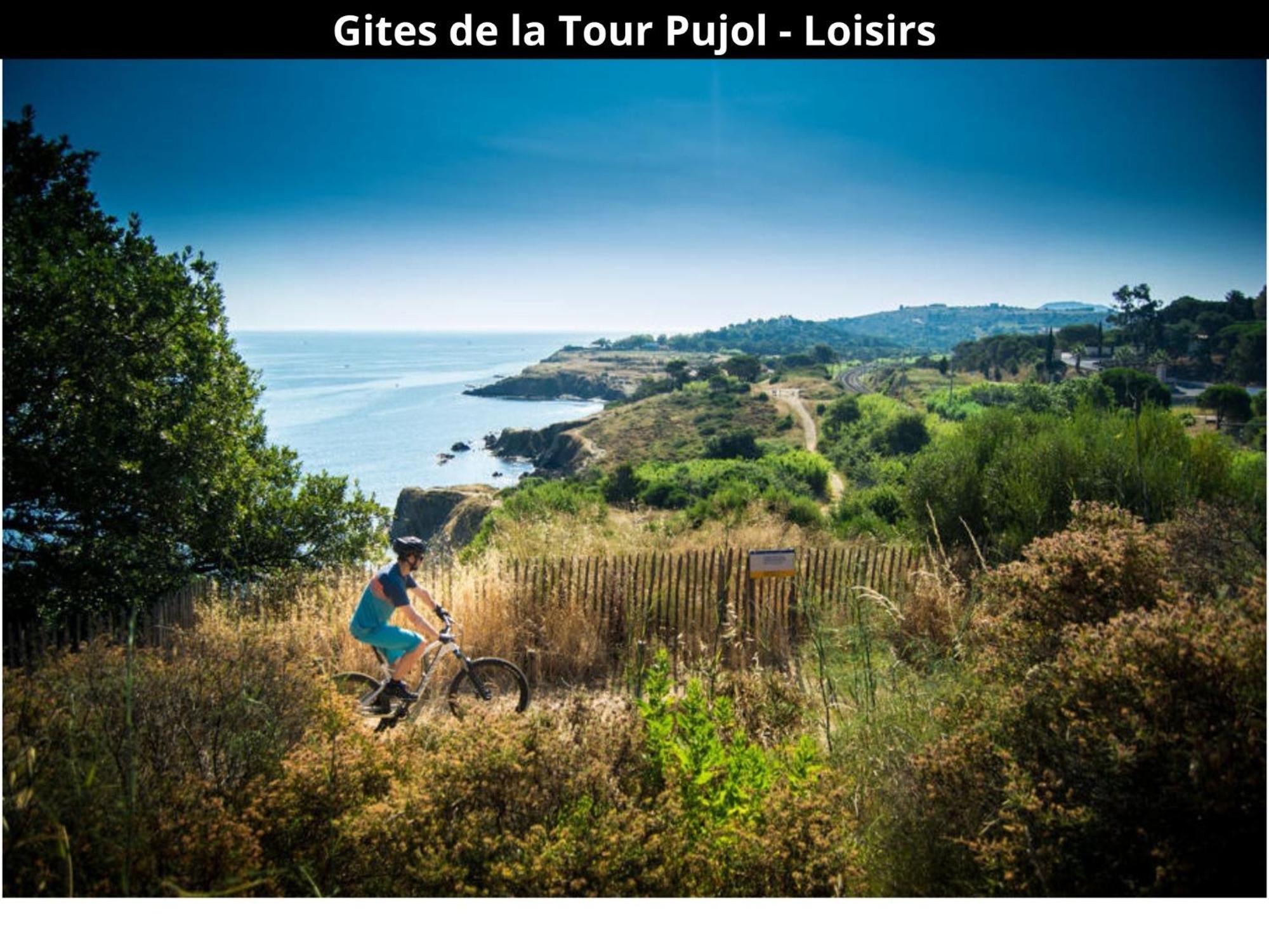 Les Gites De La Tour Pujol Argeles-sur-Mer Ngoại thất bức ảnh