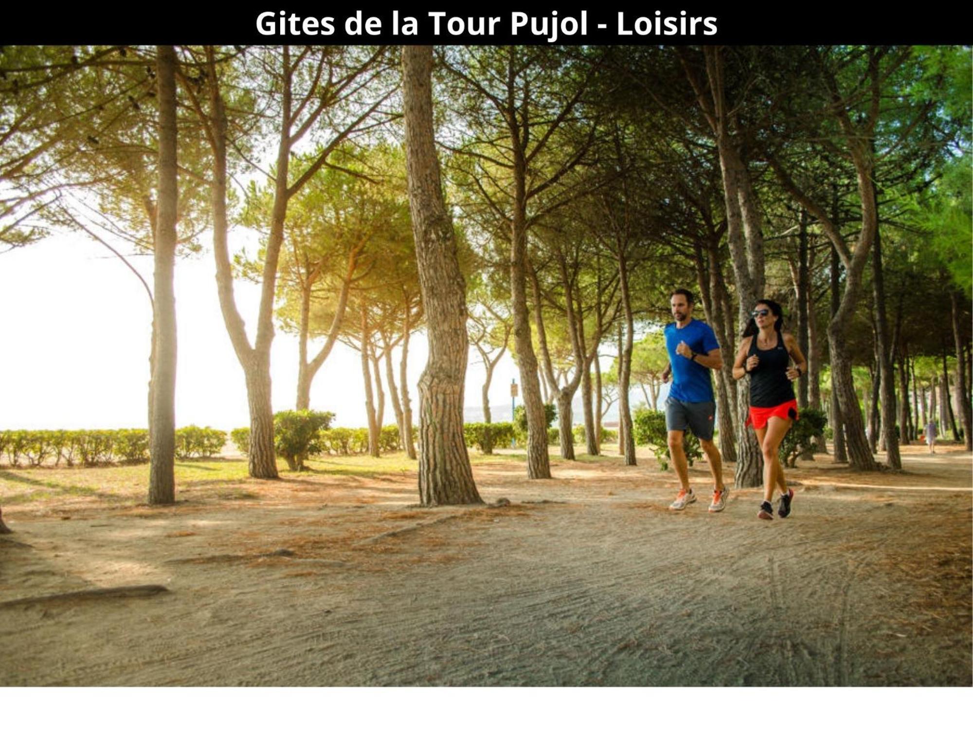 Les Gites De La Tour Pujol Argeles-sur-Mer Ngoại thất bức ảnh