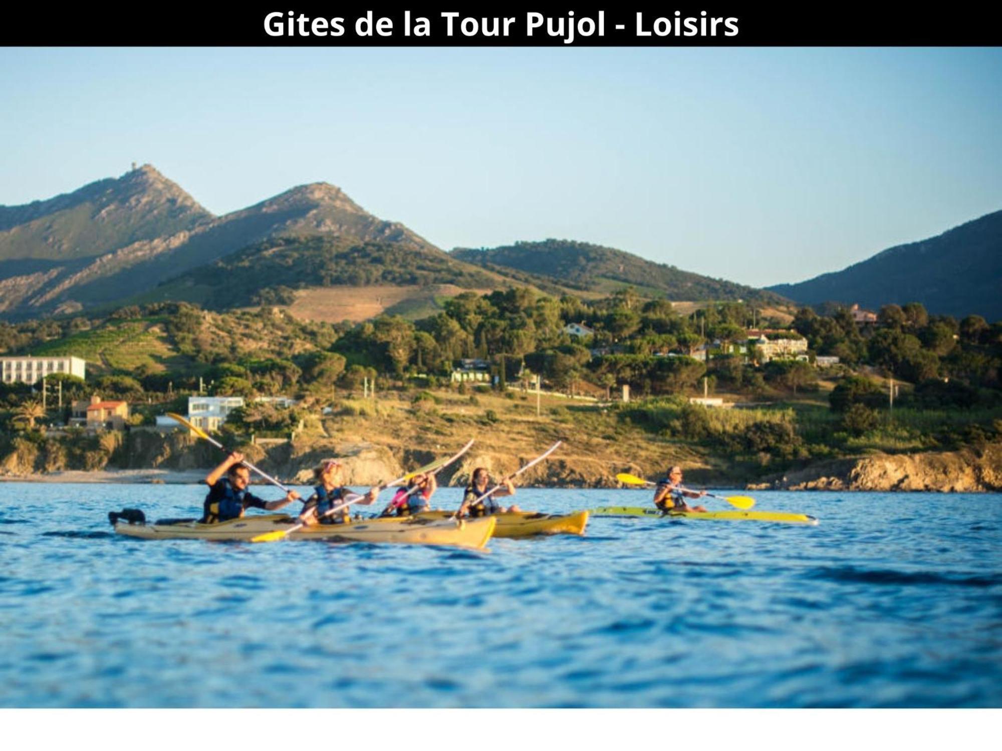 Les Gites De La Tour Pujol Argeles-sur-Mer Ngoại thất bức ảnh