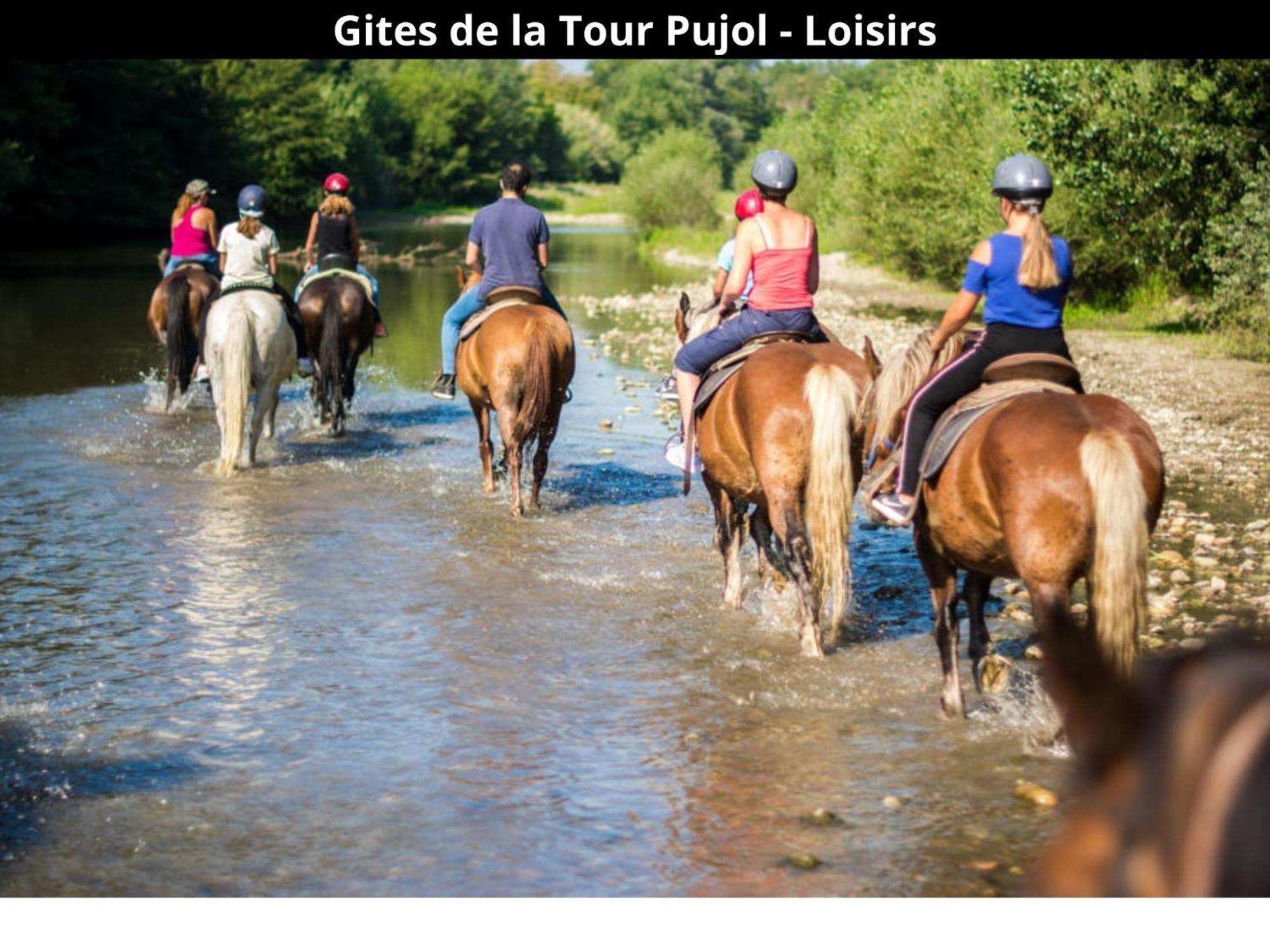 Les Gites De La Tour Pujol Argeles-sur-Mer Ngoại thất bức ảnh