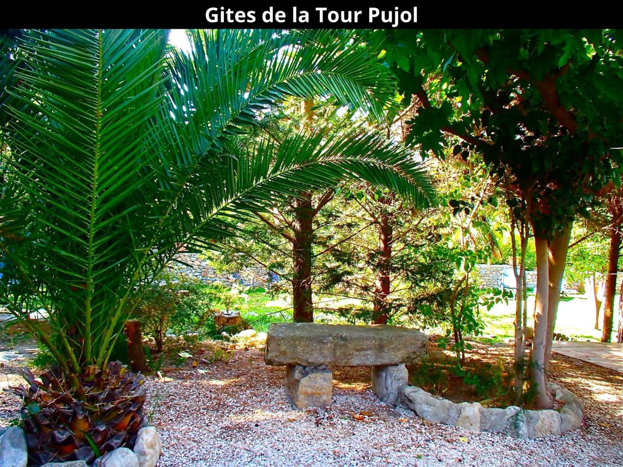 Les Gites De La Tour Pujol Argeles-sur-Mer Ngoại thất bức ảnh