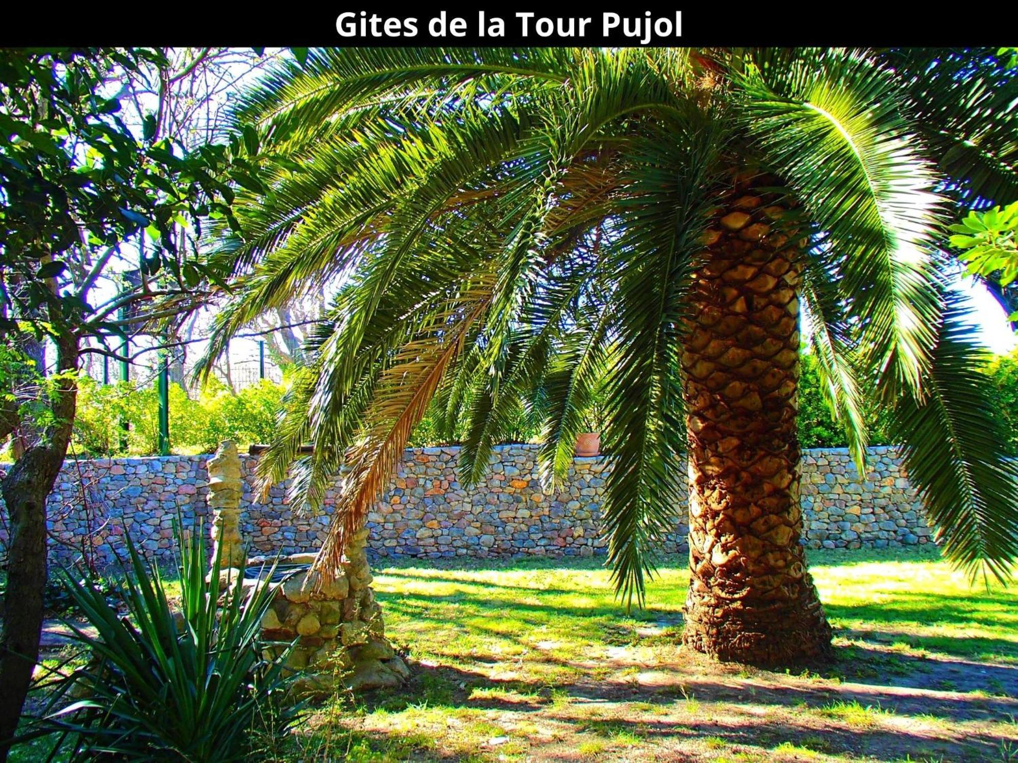 Les Gites De La Tour Pujol Argeles-sur-Mer Ngoại thất bức ảnh