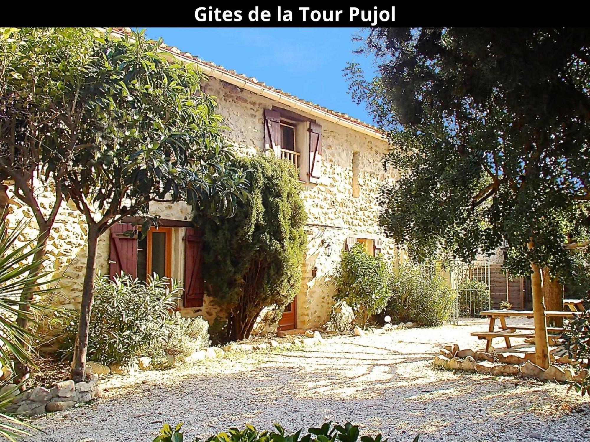 Les Gites De La Tour Pujol Argeles-sur-Mer Ngoại thất bức ảnh